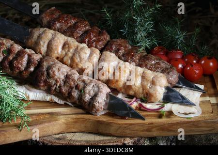 Gros plan d'un plat traditionnel caucasien – assortiment de viande hachée grillée (lula kebab ou shish kebab) sur des brochettes en métal. Avec des kebabs fabriqués à partir de chi Banque D'Images