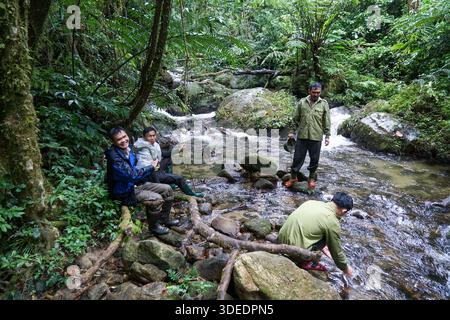 Hommes trekking à travers un ruisseau de forêt tropicale luxuriante, profitant d'une aventure en plein air dans une nature vibrante. Banque D'Images