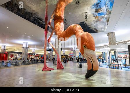 Terminal des Flughafen Tampa in den Vereinigten Staaten Tampa, Vereinigte Staaten - 7. Novembre 2025 : terminal des Flughafen Tampa, Vereinigte Staaten. *** Terminal de l'aéroport de Tampa aux États-Unis Tampa, États-Unis 7 novembre 2025 terminal de l'aéroport de Tampa, États-Unis Banque D'Images