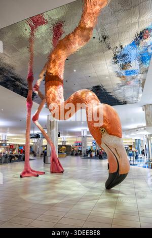 Terminal des Flughafen Tampa in den Vereinigten Staaten Tampa, Vereinigte Staaten - 7. Novembre 2025 : terminal des Flughafen Tampa, Vereinigte Staaten. *** Terminal de l'aéroport de Tampa aux États-Unis Tampa, États-Unis 7 novembre 2025 terminal de l'aéroport de Tampa, États-Unis Banque D'Images