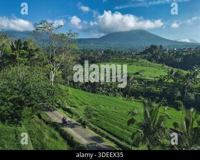 Motards sur les pentes de riz en terrasses, le Mont Agung en toile de fond, les verdure luxuriantes, les palmiers, étroit Banque D'Images