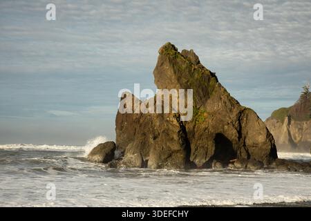 WA29003-00 - pile de mer sur Ruby Beach dans le parc national olympique. Banque D'Images