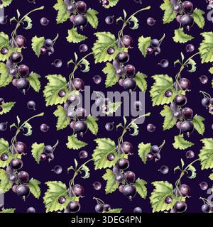 Motif aquarelle sans couture avec feuillage et baie mûre isolé sur sombre. Fond de répétition botanique de cassis noir pour produits alimentaires et textiles Banque D'Images