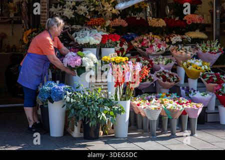 Gardien de magasin ou fleuriste plaçant des fleurs coupées devant un magasin de fleurs à Viru tänav à Tallinn, Estonie Banque D'Images