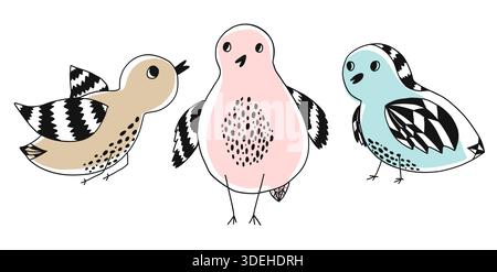 Collection de jolis oiseaux de couleur dessinés à la main Doodle Illustration de Vecteur