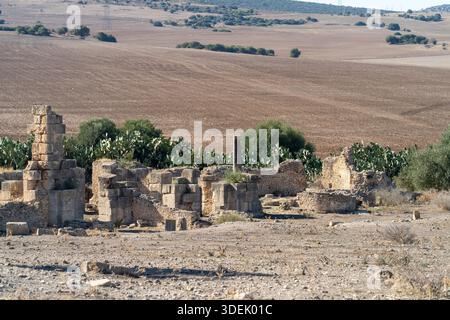 Site archéologique de Thignica, Tunisie.vue de l'ancienne ville romaine de Thignica qui illustre l'aménagement urbain de cette colonie romaine intérieure Banque D'Images