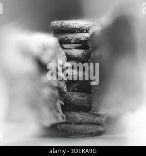 Photographie macro abstraite en noir et blanc d'un ressort de pince à linge, révélant des textures fines et des détails industriels. T Banque D'Images