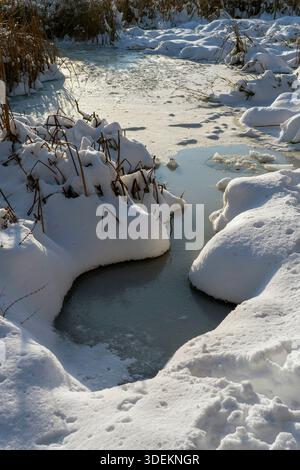 Un ruisseau coule à travers une zone enneigée avec des taches d'eau gelée. La neige recouvre le sol et les plantes environnantes. Le soleil se reflète sur la surface de l'eau Banque D'Images