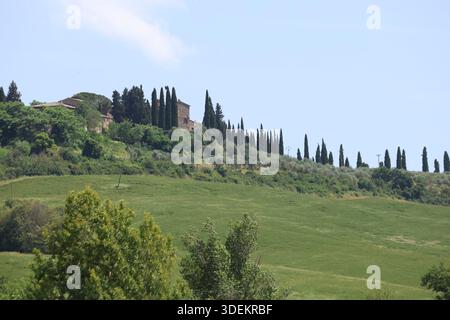 Chemin bordé de cyprès menant à une maison sur la colline en Val d'Orcia, Toscane, Italie Banque D'Images