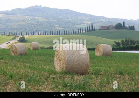 Vue panoramique de balles de foin rondes dans un champ toscan vert avec Rolling Hills et Cypress Trees Banque D'Images