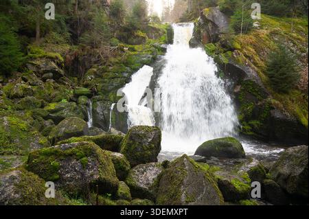 Cascade Triberg de Forêt Noire, plus haute chute d'Allemagne, la rivière Gutach plonge sur sept marches majeures dans la vallée, saison estivale au coucher du soleil Banque D'Images