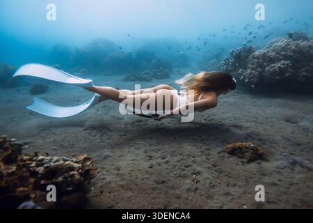 Femme attrayante dans le bain blanc nage sous l'eau près du récif corallien dans l'océan bleu Banque D'Images