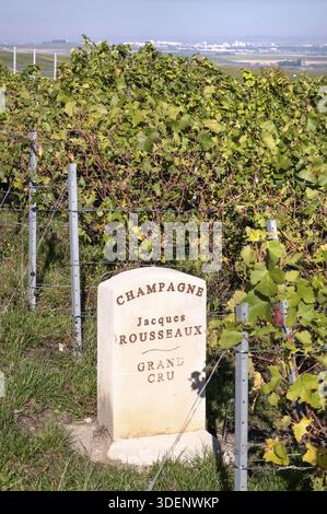 Marqueur de vignoble en pierre de la maison de champagne Jacques Rousseaux avec la gravure Grand Cru, qui marque une parcelle de pinot noir de première classe, dans le backgro Banque D'Images