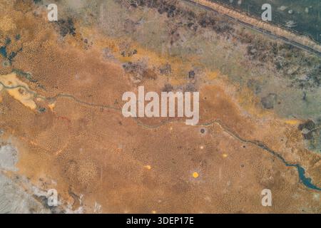 Vue aérienne de haut en bas d'un ruisseau sinueux coupant à travers des roseaux jaunes secs dans un marais. L'eau stagnante présente des taches toxiques orange vif et des dépôts chimiques, illustrant la pollution des zones humides et la dégradation de l'environnement Banque D'Images