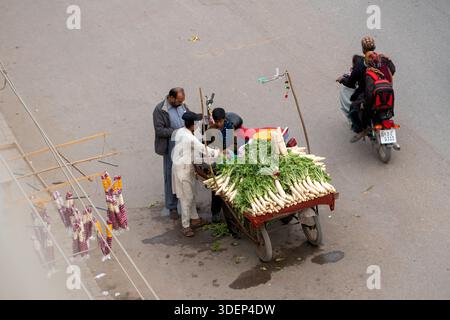 Karachi, Pakistan - daikon blanc frais, radis daikon vente sur panier Banque D'Images