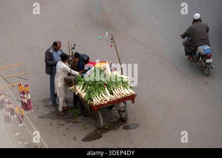 Karachi, Pakistan - daikon blanc frais, radis daikon vente sur panier Banque D'Images