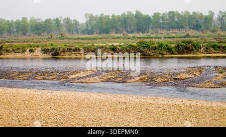 Une rivière peu profonde et claire coule doucement sur des galets lisses, serpentant à travers un paysage verdoyant sous un ciel bleu vif. Banque D'Images