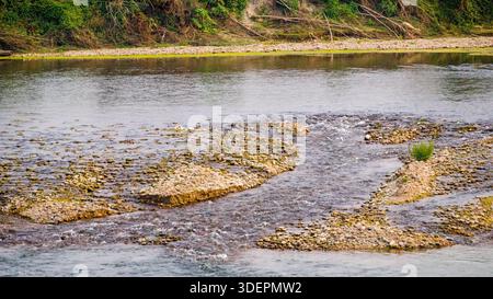 Une rivière claire coule rapidement sur des pierres lisses, créant un petit lit bouillonnant dans un cadre naturel paisible. Banque D'Images