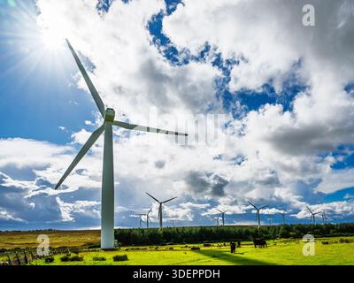 Parc éolien, sud-est de l'Écosse, Royaume-Uni Banque D'Images