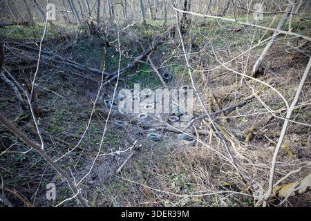 Déversement illégal de vieux pneus usagés dans les bois près de la route. Vieux pneus polluant la nature Banque D'Images
