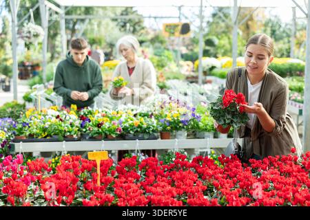 Client féminin choisissant cyclamen en pot dans le magasin de jardin de récipient Banque D'Images