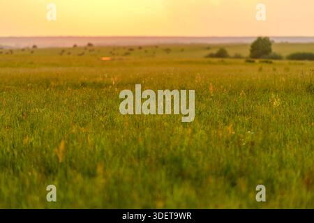 Un paysage magnifiquement serein présente des champs verdoyants s'étendant sous une vue imprenable sur le coucher du soleil doré Banque D'Images