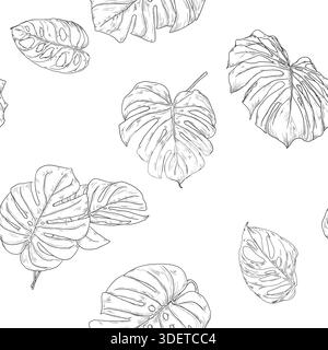 Feuilles de Monstera, croquis noir et blanc. Illustration vectorielle. Feuilles d'arbre tropical, modèle sans couture isolé sur fond blanc. Faune luxuriante et verte Illustration de Vecteur