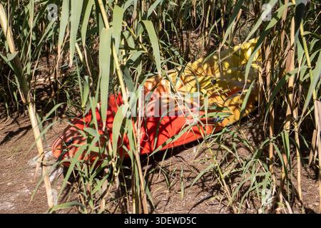 Kayak rouge et jaune tiré entre des roseaux de bambou sur le sable à la lumière du soleil et à l'ombre à Ibiza, Espagne Banque D'Images