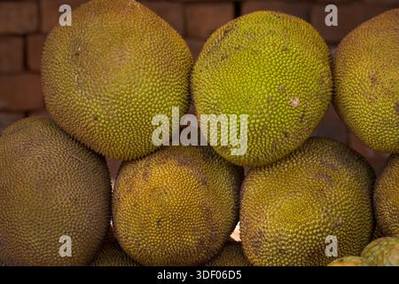 Le fruit du Durian (Durio zibethinus) pousse et est disponible à Madagascar, mais pas aussi largement que dans son Asie du Sud-est natale, où il est connu comme le « roi des fruits » photographié au marché de Mandoto, une ville de marché animée sur la route de Morondava, Madagascar. Banque D'Images