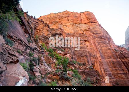 De hautes falaises de grès le long du West Rim Trail jusqu'à Angels Landing dans le parc national de Zion, Utah Banque D'Images