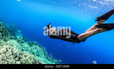 femme libre plongée et snorkeling dans les eaux tropicales d'hawaï parmi les récifs coralliens Banque D'Images