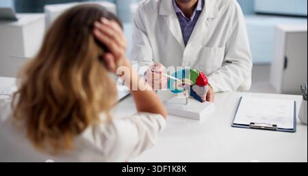 Médecin neurologue examinant le modèle cérébral avec un patient en milieu clinique Banque D'Images
