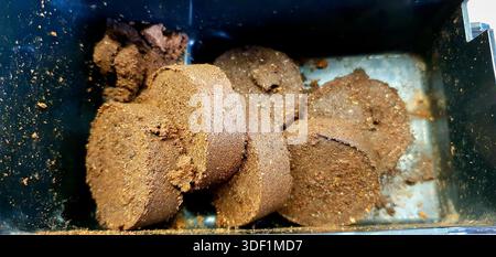 Le Marc de café usagé n’est plus considéré comme un simple déchet, mais comme une ressource précieuse dans l’économie circulaire Banque D'Images