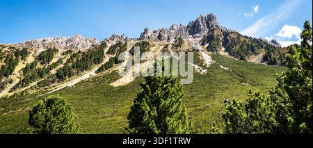 Chaîne de montagnes avec des sommets rocheux et forêt verte sous ciel bleu. Banque D'Images