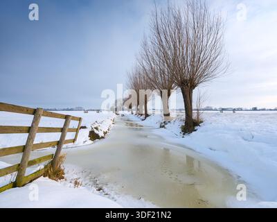 Un paysage hivernal enneigé dans le polder près de Noordeloos à Utrecht, aux pays-Bas avec des arbres et une clôture. Un paysage hivernal hollandais typique. Banque D'Images