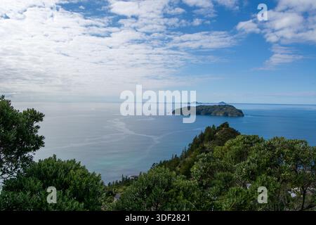 Une vue côtière sereine avec une mer calme et une île lointaine sous un ciel partiellement nuageux. La végétation luxuriante encadre le premier plan, améliorant la tranquillité Banque D'Images