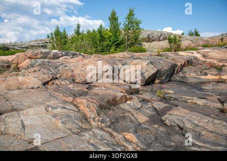 Substrat rocheux métamorphique de l'île de Liuskasaari à Helsinki, Finlande Banque D'Images