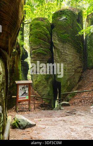 Tours de roches de grès recouvertes de mousse dans une forêt tchèque, montrant un panneau d'information Banque D'Images