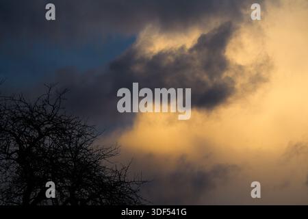 Un plan cinématographique et évocateur d'un ciel de coucher de soleil orageux. La composition présente un arbre sans feuilles profond et silhouetté au premier plan. Banque D'Images