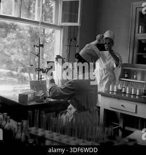 Slaviansk, RSS d'Ukraine, années 1970 Un cliché médium historique représente deux femmes techniciens de laboratoire travaillant dans un laboratoire d'hôpital ensoleillé. Les spécialistes des blouses et des capuchons de coton blanc examinent des échantillons biologiques dans des tubes à essai contre la lumière pour déterminer les résultats. L'espace de travail est rempli de réactifs en verre, de portoirs et d'une burette de titrage. Cette authentique photographie d'archives monochrome capture le processus scientifique méticuleux, la précision et les normes de diagnostic élevées des soins de santé soviétiques dans la paisible région du Donbass. Banque D'Images