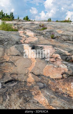 Le substrat rocheux métamorphique de l'île de Liuskasaari à Helsinki, en Finlande, est constitué de migmatite Banque D'Images