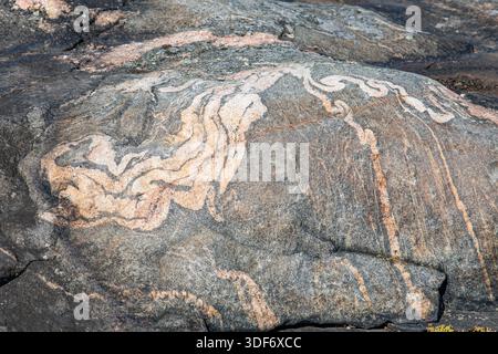 Migmatite baguée sur le substrat rocheux métamorphique dans l'île de Liuskasaari à Helsinki, Finlande Banque D'Images