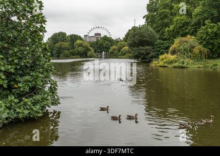 Vue sur St James's Park, l'un des parcs les plus célèbres de Londres, situé dans la ville de Westminster, au centre de Londres Banque D'Images