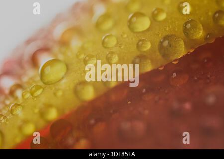 Macro détail de pétale de tulipe rouge avec des gouttes de pluie scintillantes Banque D'Images