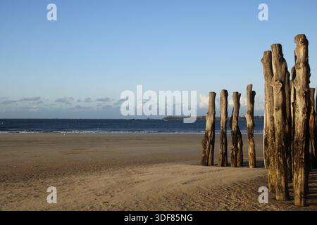 Poteaux brise-lames en bois sur la plage de sable de Saint-Malo, Bretagne, France, photographiés en septembre 2025. Banque D'Images
