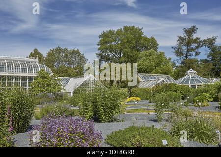 HELSINKI, FINLANDE - 10 JUILLET 2017 : jardin botanique de Kaisaniemi et sa serre à Helsinki, Finlande Banque D'Images