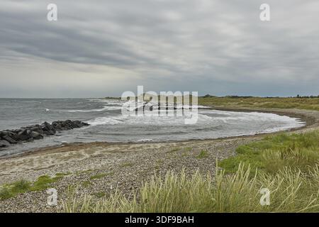 Bord de mer et paysage près de la ville de Skagen au Danemark Banque D'Images