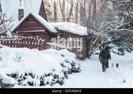 Un couple avec des chiens marchant le long d'un chemin enneigé vers une cabane confortable entourée de forêt d'hiver pendant les chutes de neige douces Banque D'Images