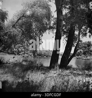 Région de Donetsk, Ukraine, URSS, années 1950 Une photographie d'archives en noir et blanc capturant un paysage fluvial. Deux grands troncs d'arbre avec écorce texturée se dressent au premier plan, encadrant la vue sur l'eau calme. L'herbe haute pousse sur la rive ombragée. La rive opposée est bordée d'une forêt dense qui se reflète dans la rivière. De faibles silhouettes de personnes sont visibles au loin. L'image présente le grain d'un film du milieu du XXe siècle. Cette vue transmet la tranquillité d'une journée d'été ensoleillée. L'atmosphère évoque des souvenirs de la nature paisible du Donbass. Banque D'Images