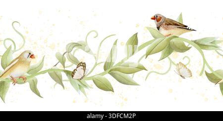 Branche de vigne de jardin avec oiseaux et papillons bordure sans couture isolé sur blanc. Plante grimpante printanière vert pastel, beige et brun avec pollen pour Banque D'Images